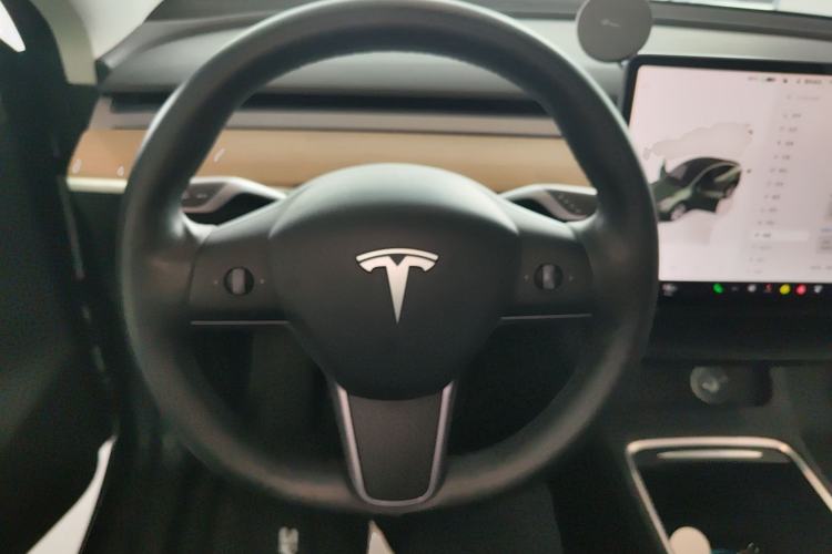 Used Tesla Model Y 2022 Long-Range All-Wheel-Drive Version
