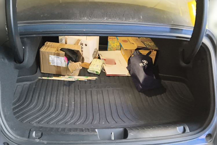 Used ORA Lightning Cat 2022 555 km Luxury Edition