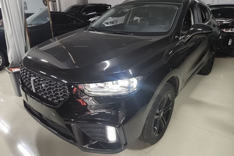 Used Wey VV5 2020 1.5T Two-Wheel Drive Color Pioneer