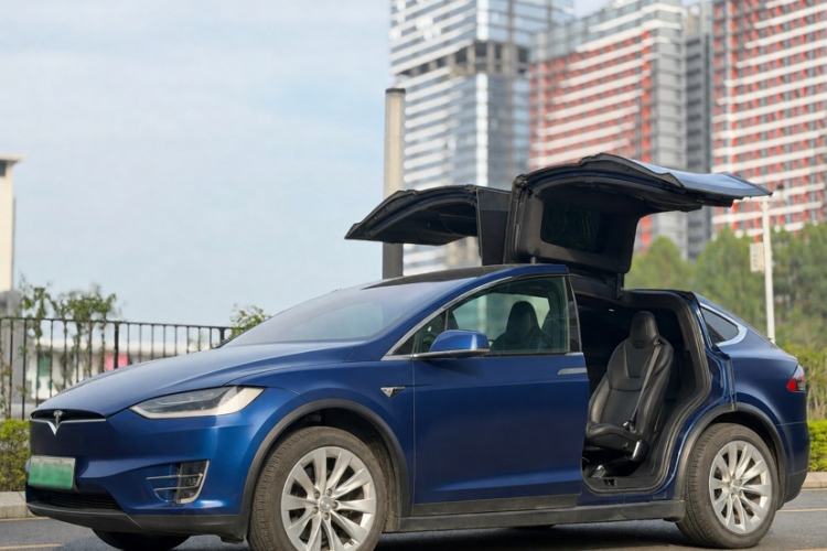 Used Tesla Model X 2019 Long-Range Version