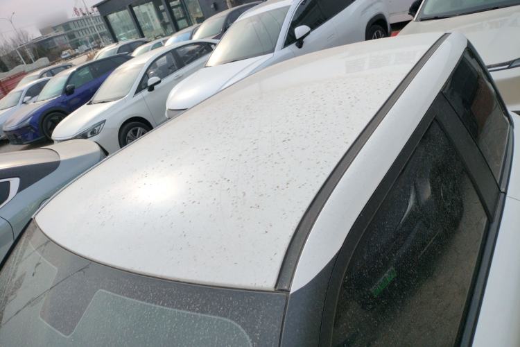 Used Qiyuan Lumin 2023 205km Xiangqin Version
