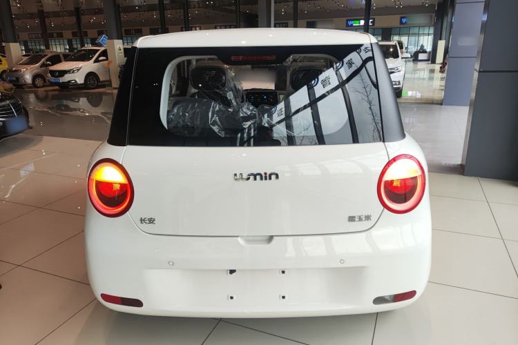 Used Qiyuan Lumin 2025 205 km Xiangqin Version

