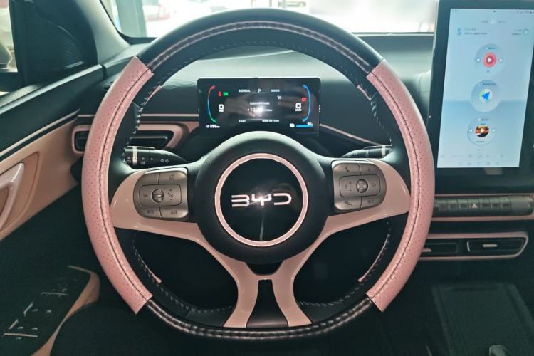 Used BYD Seagull 2025 305 km Free Version