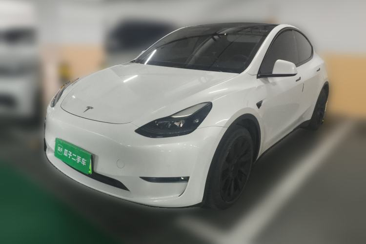 Used Tesla Model Y 2021 Long-Range All-Wheel-Drive Version
