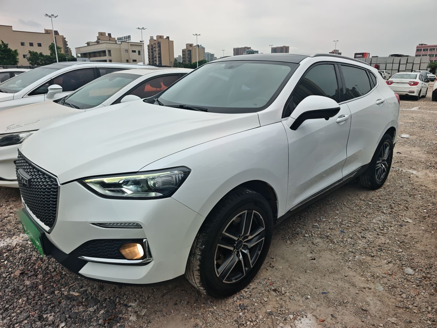 Parte inferior delantera