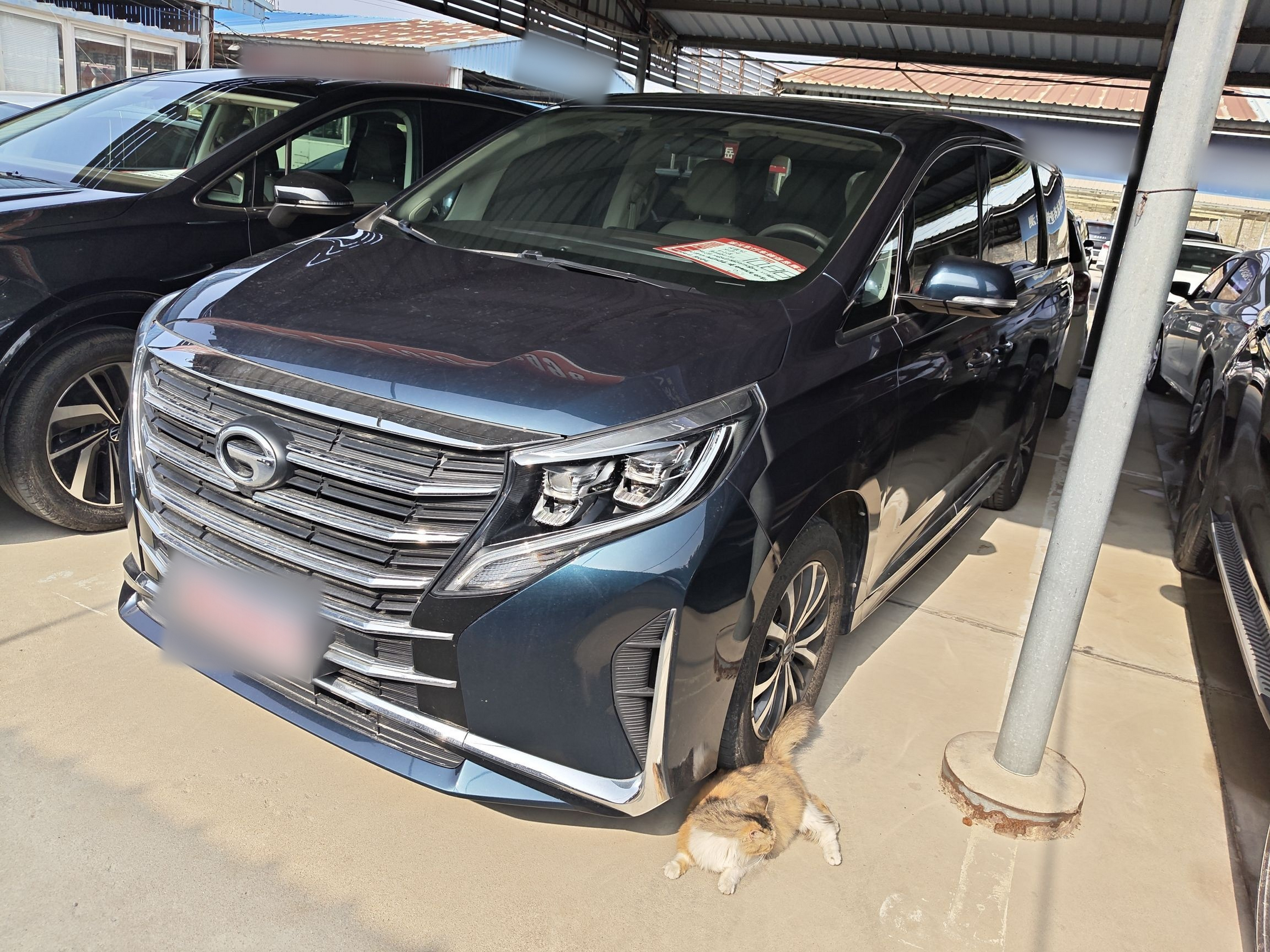 Under Front Bumper