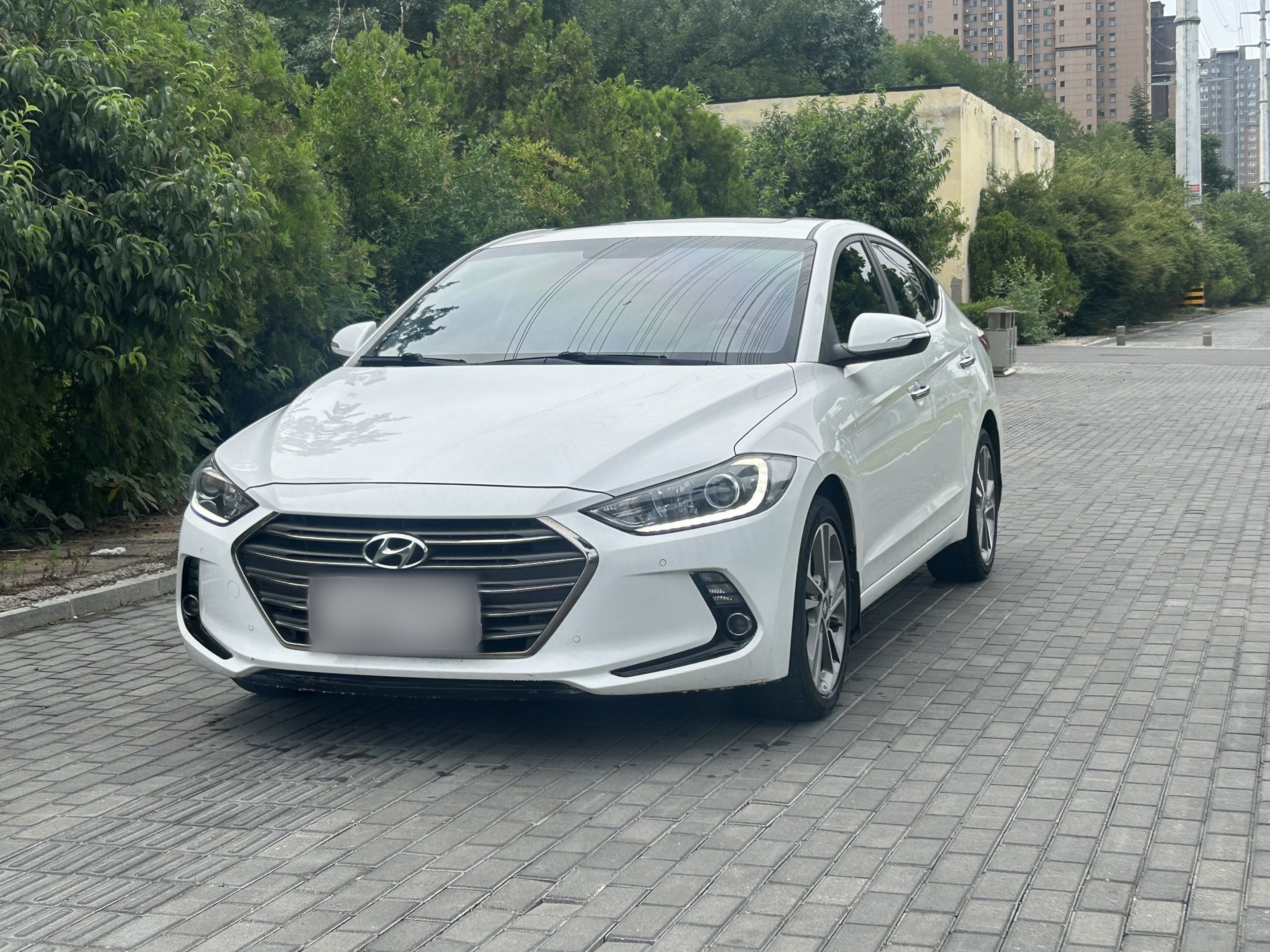 Under Front Bumper