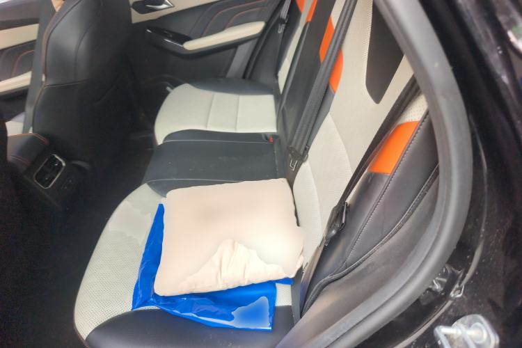 Used Haval LHERY 2021 High-Performance Version 1.5T Golden Rabbit Left Rear Seat