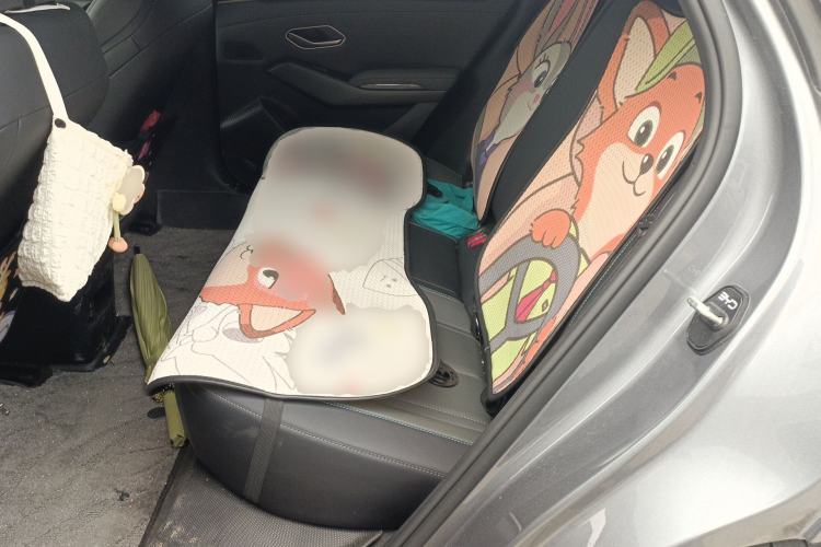 Used BYD Qin L 2025 DM-i Smart Drive 80KM Leading Model Left Rear Seat