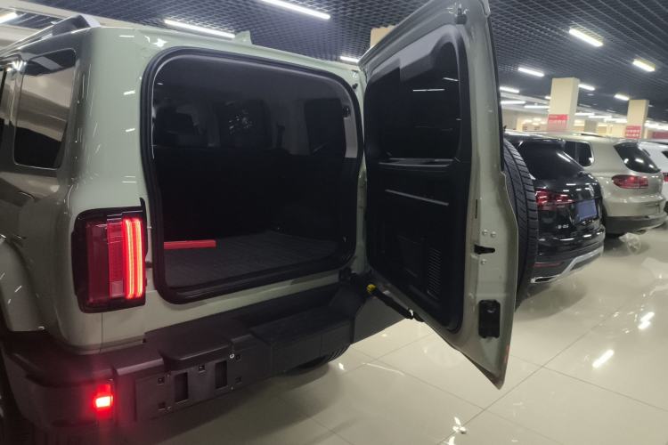 Used Tank 300 2024 2.0T Crosser
