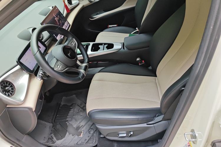 Used BYD Dolphin 2025 Smart Drive Version 420 km Freedom Edition Left Front Seat