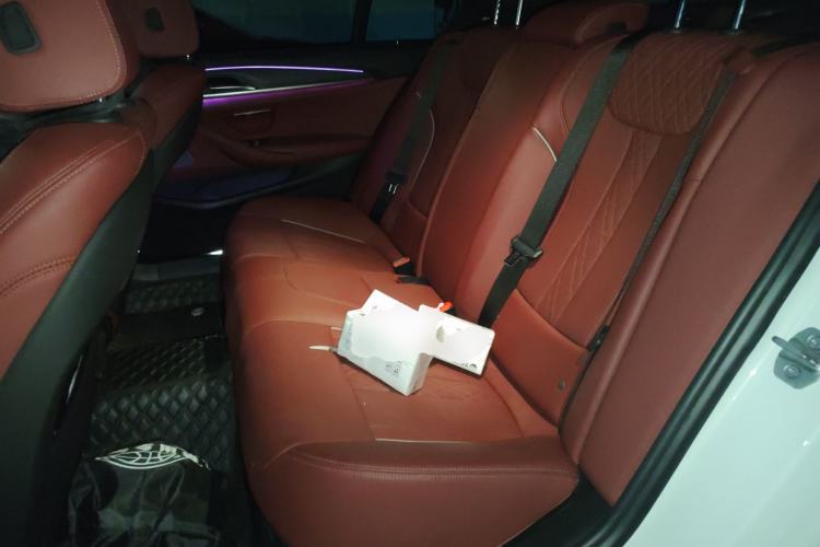 Used BMW 5 Series 2021 530Li Leading Model M Sport Package
