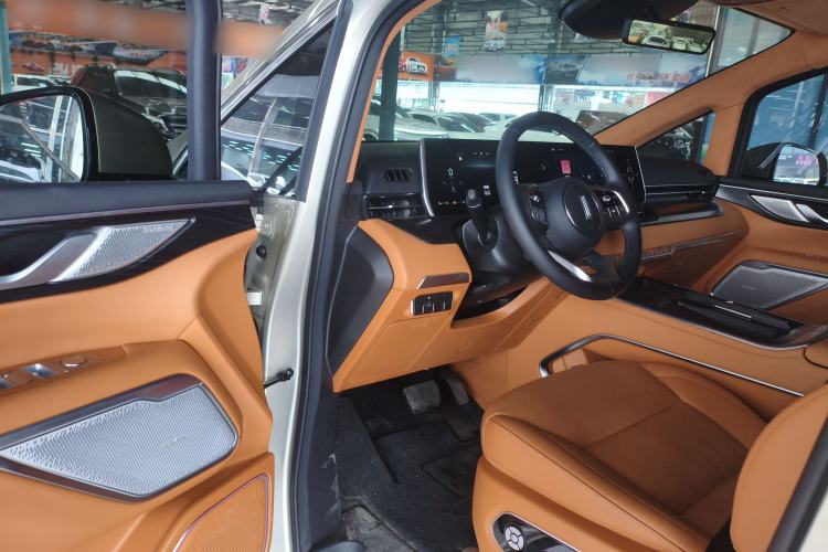 Used Wey Gaoshan 2023 Four-Wheel Drive Flagship Edition
