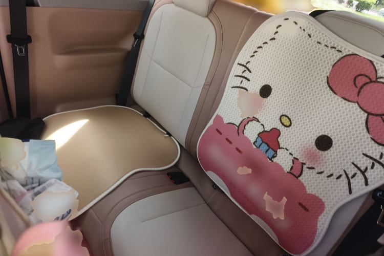 Used Geely Galaxy Panda 2023 Panda Mini 200km Endurance Bear