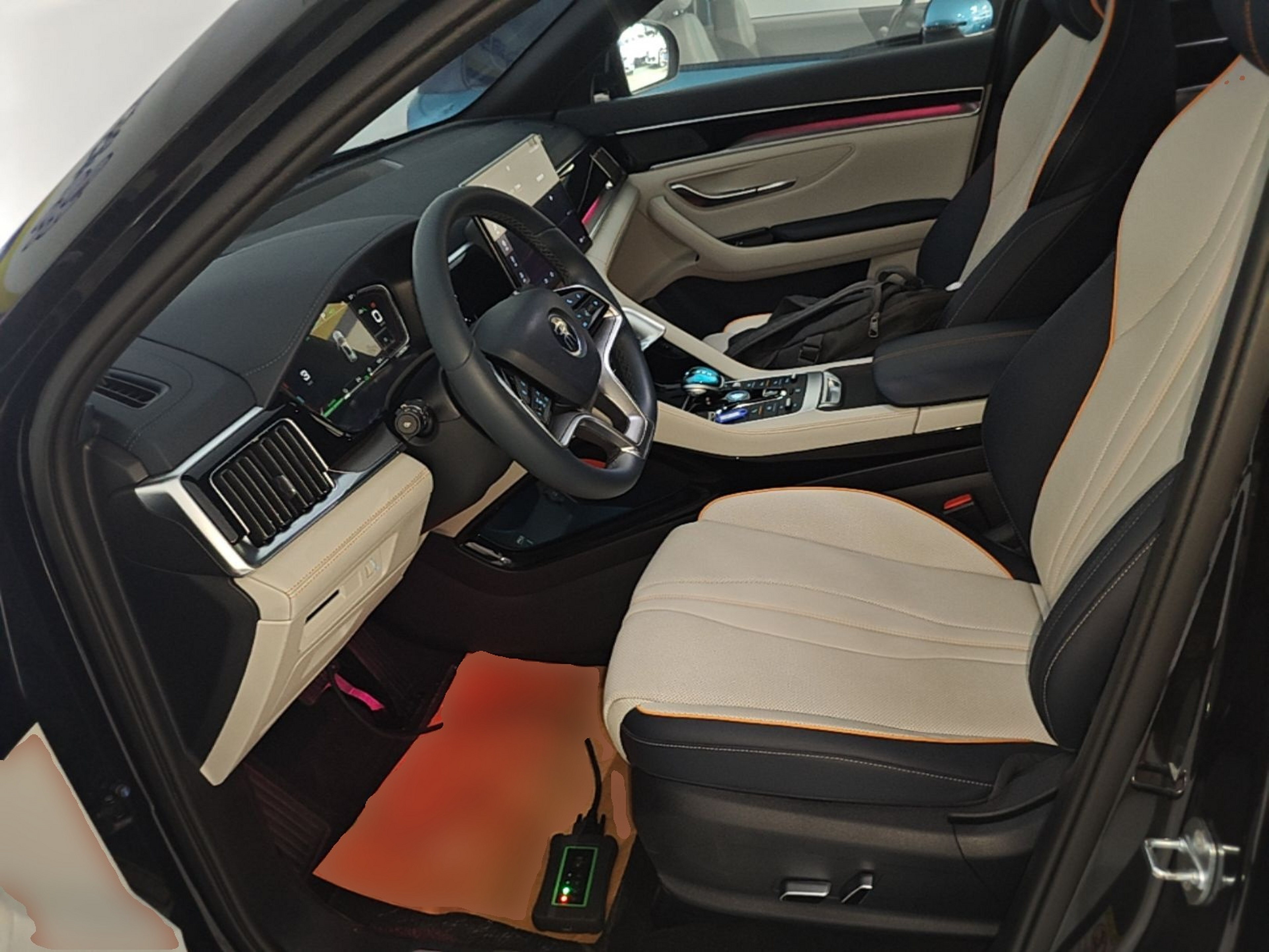Interior delantero