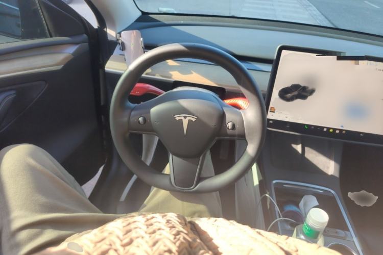 Used Tesla Model Y 2022 Revised Version Long-Range All-Wheel Drive
