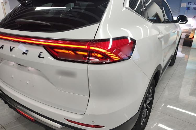 Used Haval H6 2023 National Trend Edition 1.5T Automatic Urban Version
