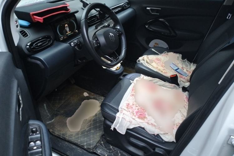 Used Leapmotor T03 2022 Star Diamond Edition Driver Seat