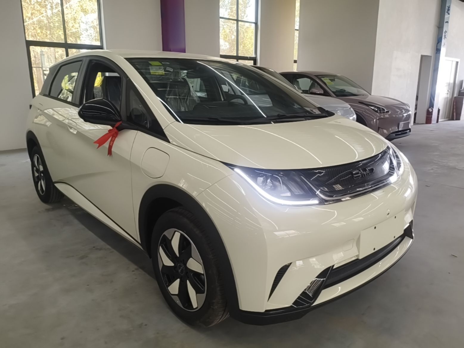 BYD Dolphin 2025 420km Free Edition — снимка 3