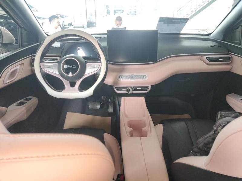 Used BYD Seagull 2025 Smart Drive Version 305 km Freedom Edition — 9