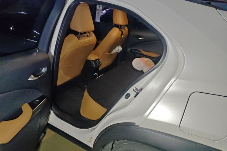 Used Lexus UX New Energy 2020 300e Pure·Joy Edition
