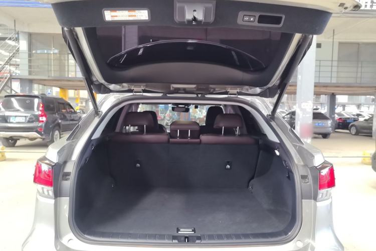 Used Lexus RX 2020 Facelifted 300 4x4 Elegant Edition