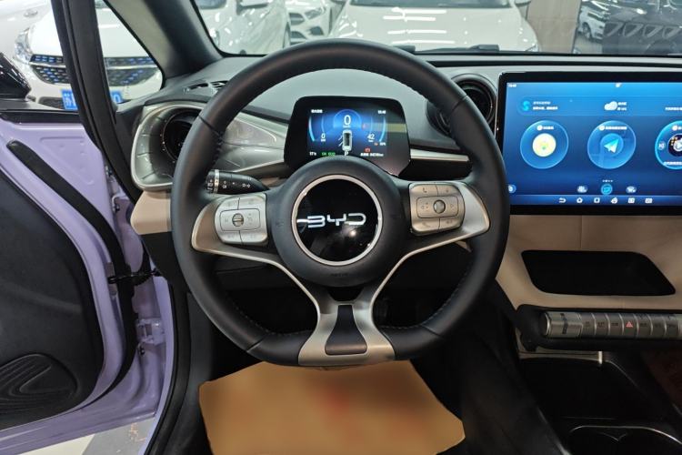 Used BYD Dolphin 2024 Honor Edition 420km Fashion Version
