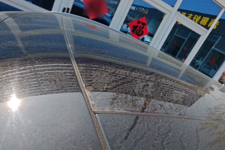 Used Ford Escape 2020 EcoBoost 245 Four-Wheel Drive Luxury Edition