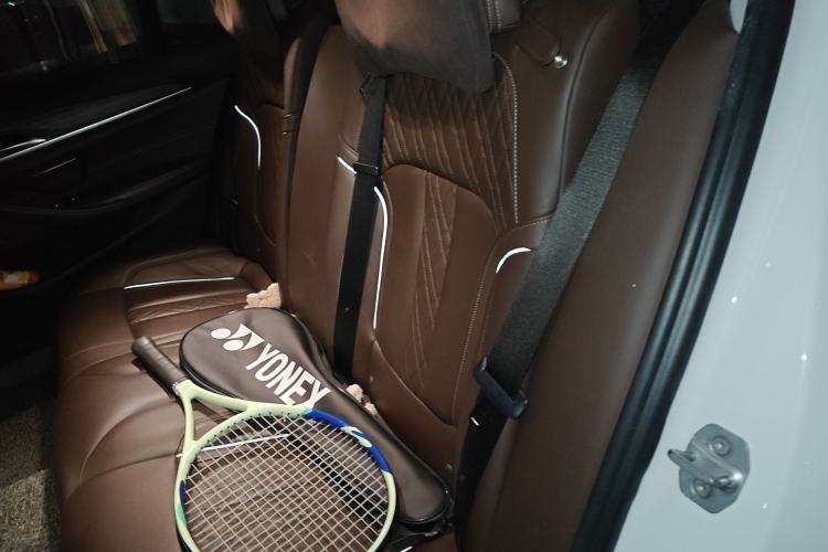 Used BMW 5 Series New Energy 2019 530Le Luxury Package Left Rear Seat