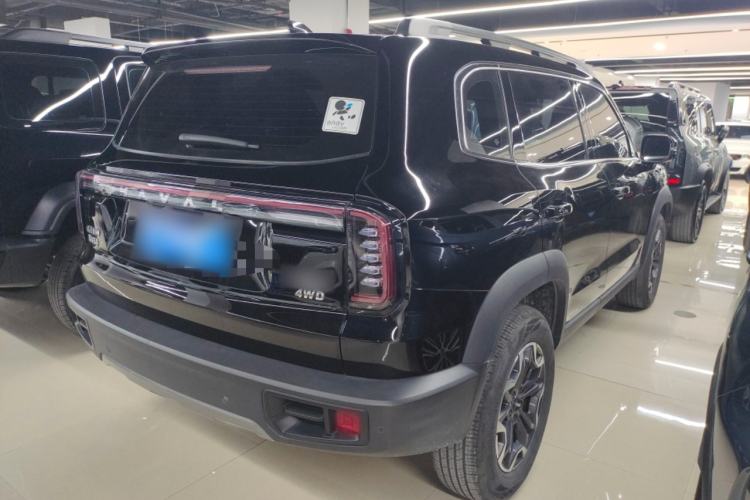 Used Haval DARGO 2024 2.0T DCT Chinese Rural Dog Edition
