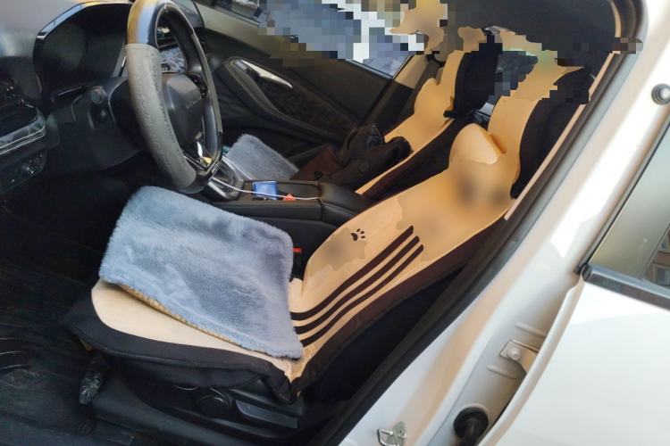 Used Baojun RS-3 2020 1.5L CVT Smart Elite Edition Left Front Seat