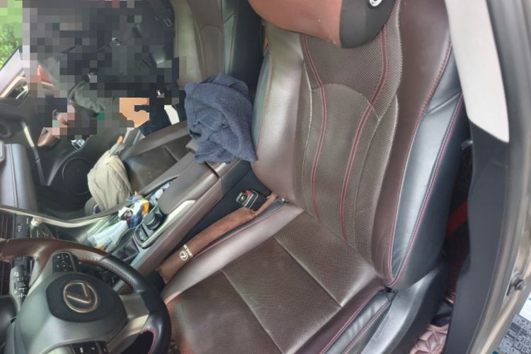 Used Lexus RX 2016 300 4x4 Elegant Edition China VI Left Front Seat