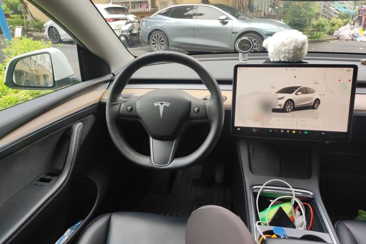 Used Tesla Model Y 2021 Standard Range Rear-Wheel Drive Version
