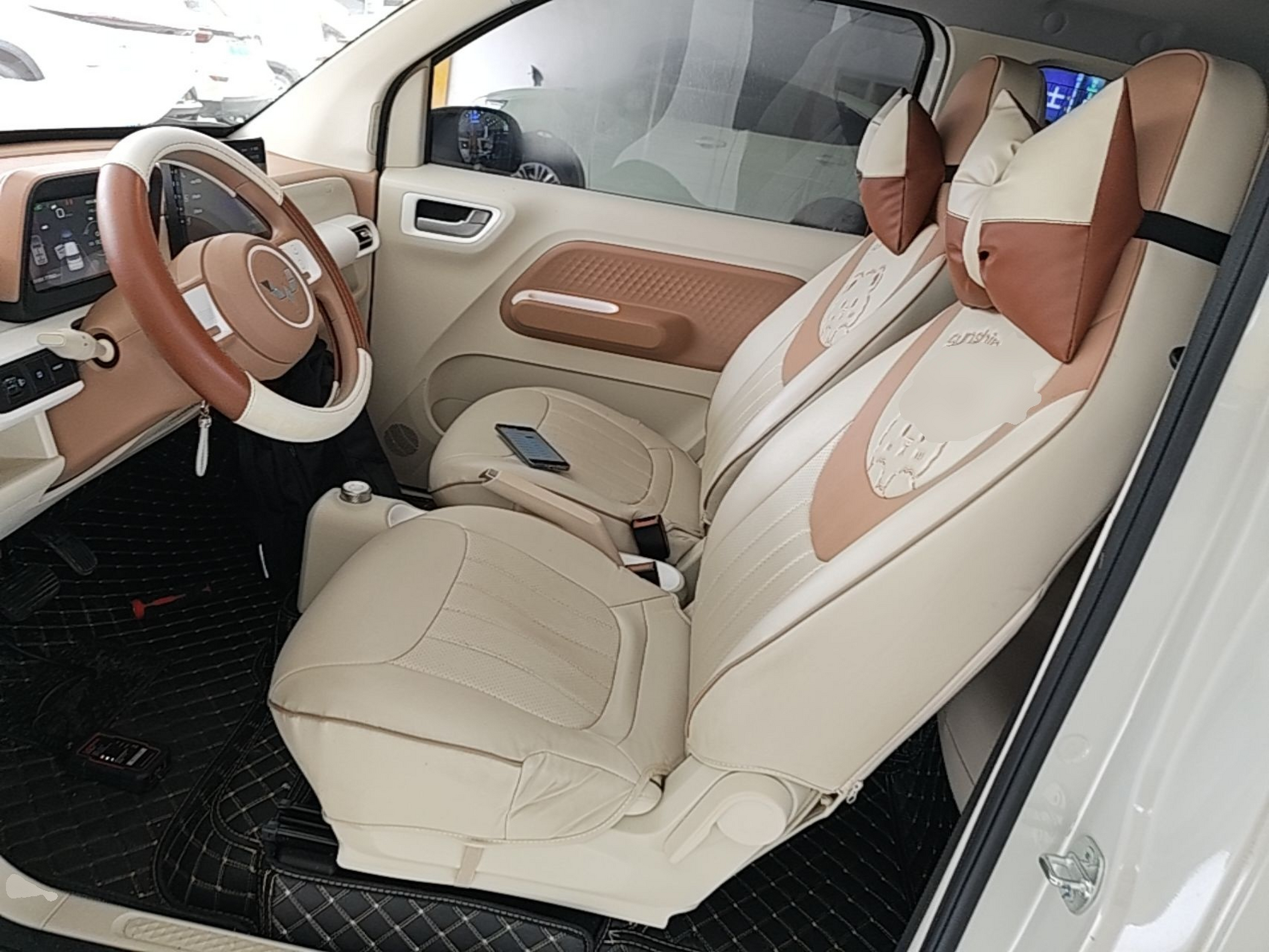 Interior delantero