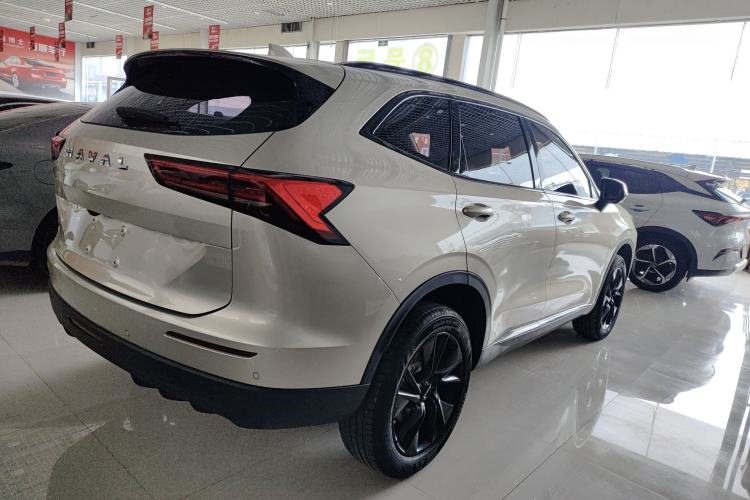 Used Haval H6 2024 1.5T Two-Wheel Drive Ultra