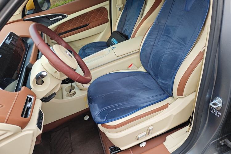 Used ORA Good Cat 2024 401 km Luxury Version Left Front Seat