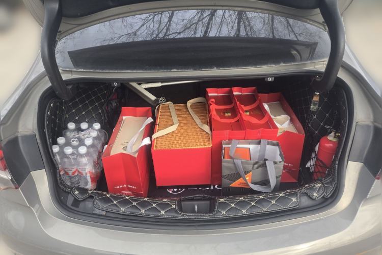 Used Buick Regal 2017 20T Elite Edition