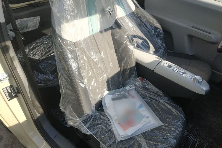 Used Qiyuan Lumin 2025 205 km Xiangqin Version
