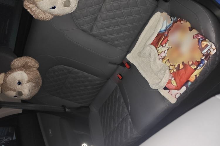 Used Leapmotor T03 2021 400 Luxury Edition
