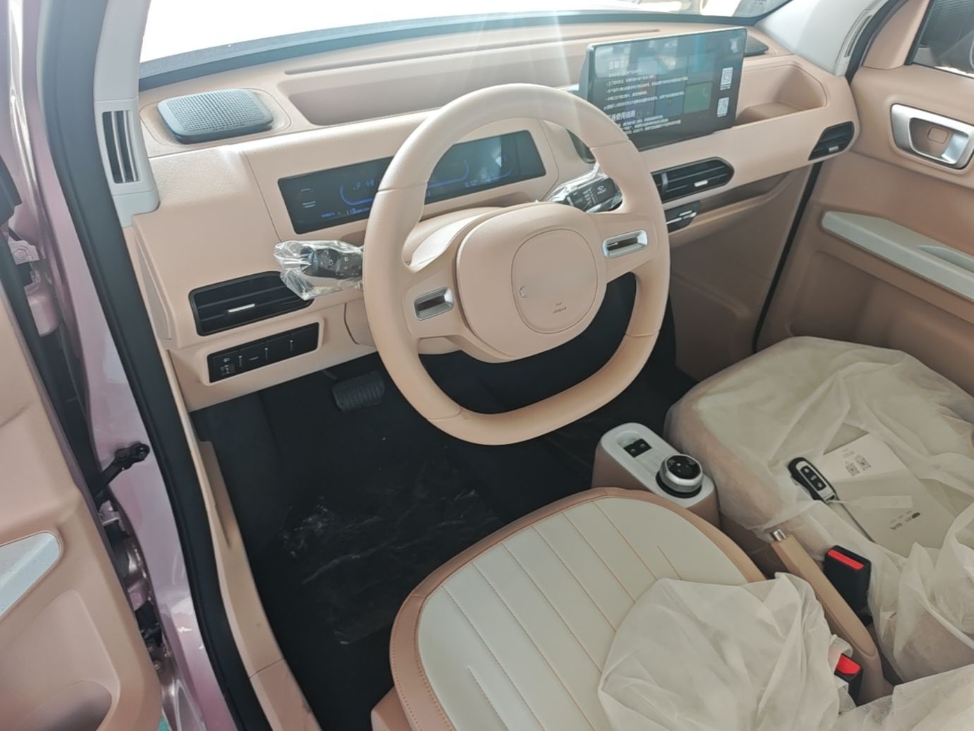Geely Galaxy Panda 2024 Panda Mini 200km Endurance Bear — снимка 12