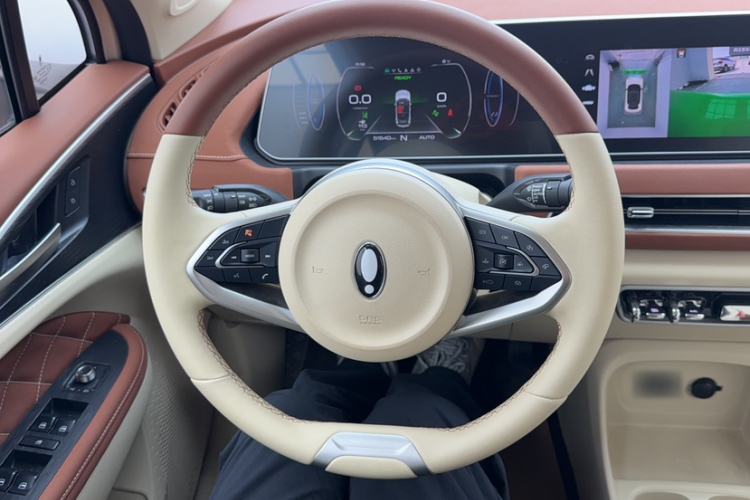 Used ORA Good Cat 2022 Morandi Edition 400km Standard Range Luxury Version Lithium Iron Phosphate