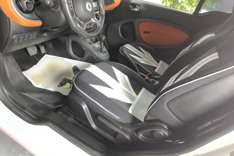 Used smart fortwo 2015 1.0L 52 kW Hardtop Passion Edition
