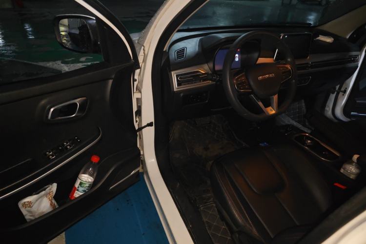 Used Dayun Yuehu 2021 32.85 kWh Two-Wheel-Drive Sprite Version Driver Seat