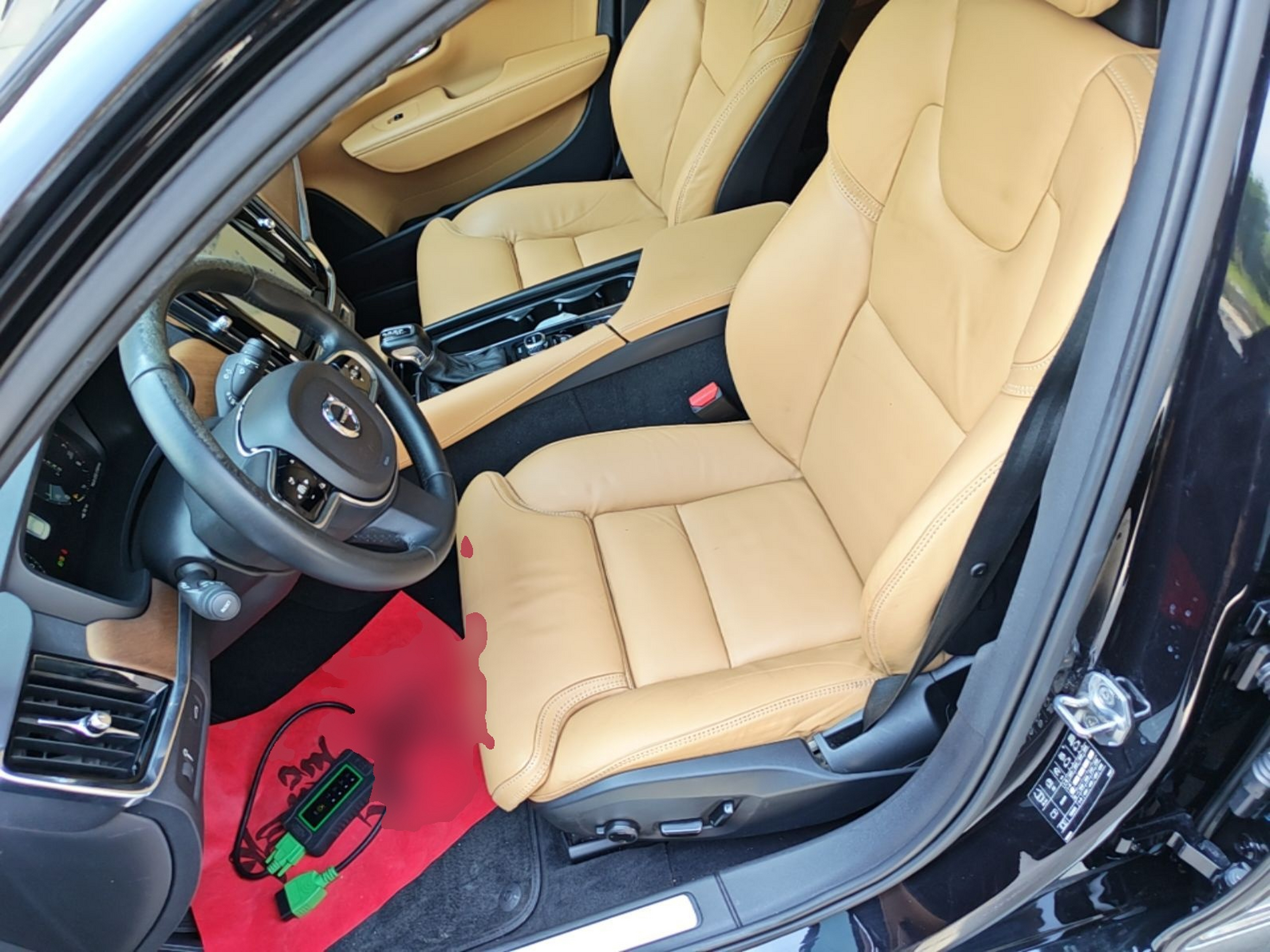 Interior delantero