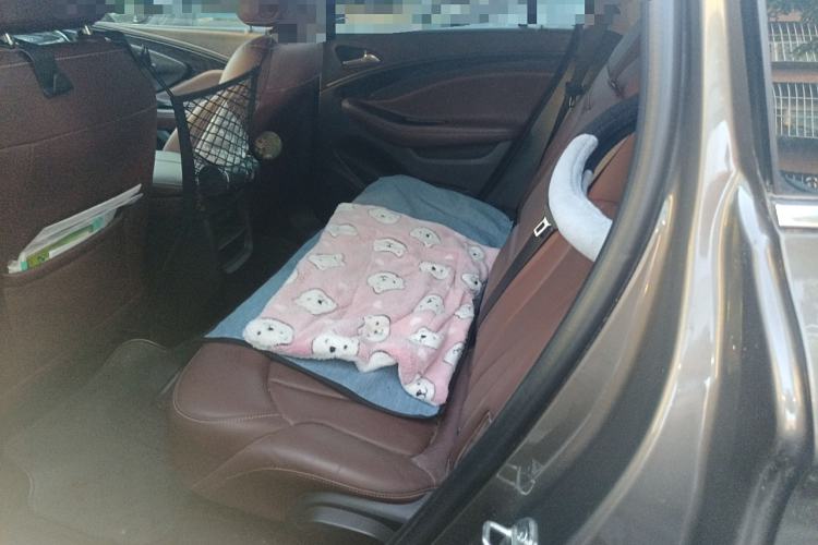 Used Buick Envision 2014 28T Four-Wheel Drive Elite Model Left Rear Seat