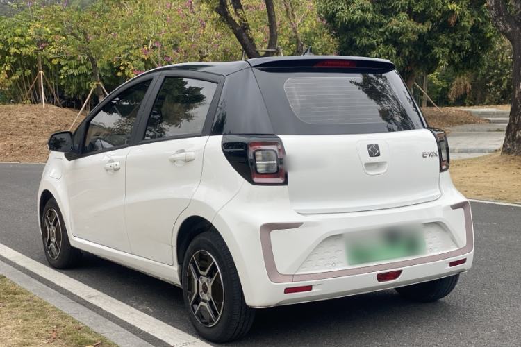 Used SOL E10X 2022 Flower Fairy Design Four-Leaf Clover