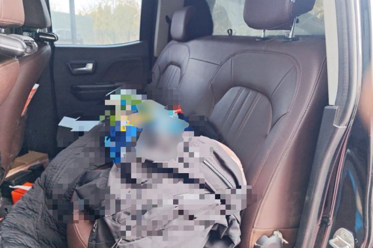 Used Great Wall Wingle 7 2019 2.0T Diesel Two-Wheel Drive Navigation Version China VI Standard Big Double Cab GW4D20M