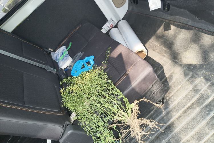 Used CHANGAN KAICHENG Ruixing EM80 2024 Comfort-Style 6-Seater 41.86 kWh Left Rear Seat