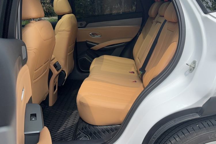 Used BYD Song L DM-i 2024 112 km Leading Edition Left Rear Seat