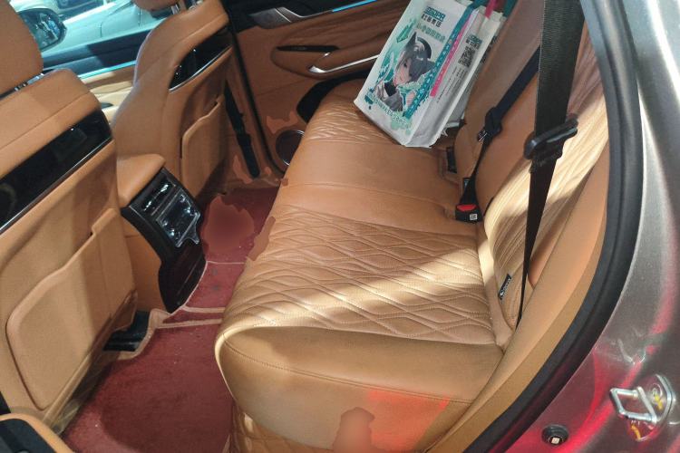 Used Tank 500 New Energy 2023 Hi4-T Left Rear Seat